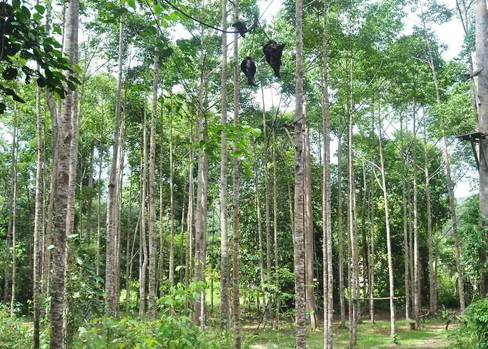 Samboja Lodge Balikpapan 